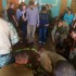 К.Плеснер