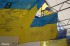 Виставка "Прапорів-реліквій"