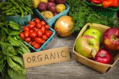 organic1-e1377170404878