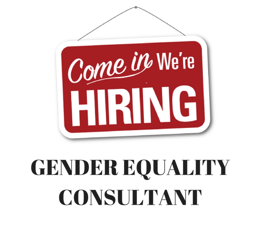 GENDER EQUALITY CONSULTANT