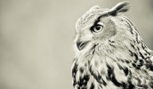 713fa2b-759_441-shutterstock-118674637