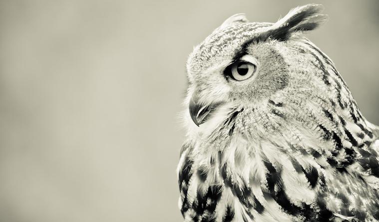713fa2b-759_441-shutterstock-118674637