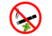 no menthol