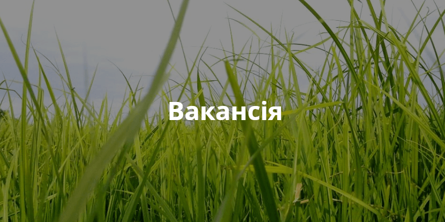 Вакансія