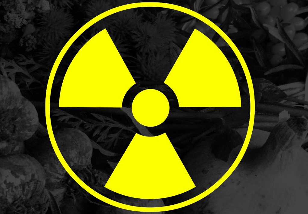 Втрачене здоров'я і житло: спадщина Чорнобиля і Фукусіми