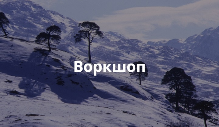 воркшоп