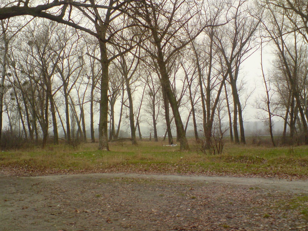 екология