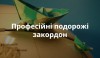 професійні подорожі закордон