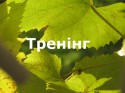 тренінг