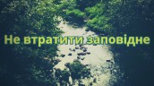 image (8)