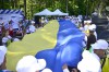 seni_cup (6)