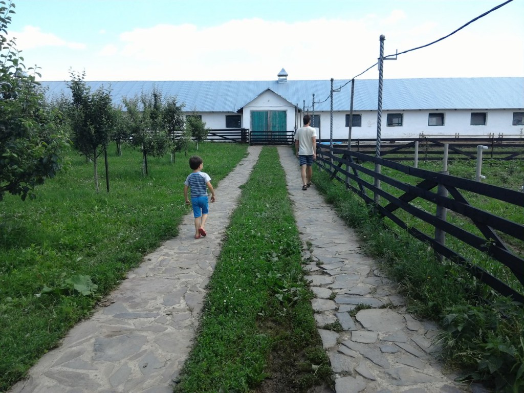 family farm