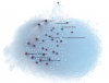 all-networks