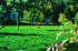 DSC00079