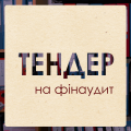 тендер-фінаудит