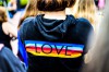 bright-close-up-colorful-2306823 – копія