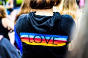 bright-close-up-colorful-2306823 – копія