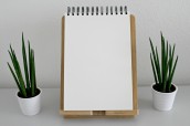blank-book-pages-desk-green-531844