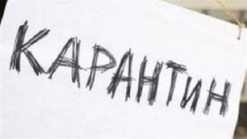 Карантин4