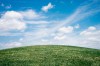 green-grass-field-under-white-clouds-1048039