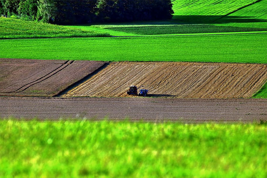 intensive-agriculture