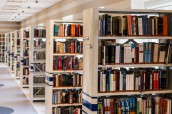 row-of-books-in-shelf-256541