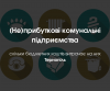 (Не)прибуткові комунальні підприємства