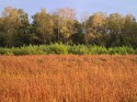 thumbnail_image002