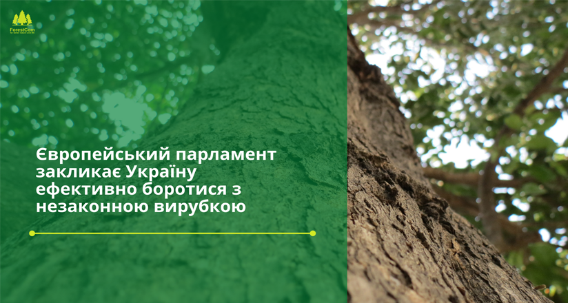 Європейський парламент закликає Україну ефективно боротися з незаконною вирубкою