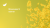 NEW_slider_ГП(76)