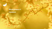 NEW_slider_ГП(85)