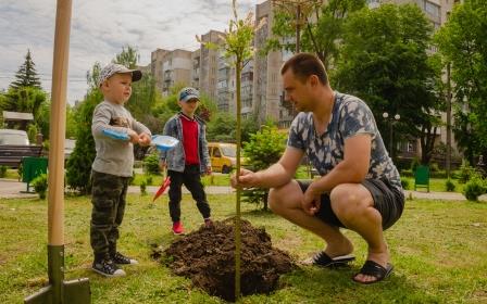 Покажи дерево онуку-44