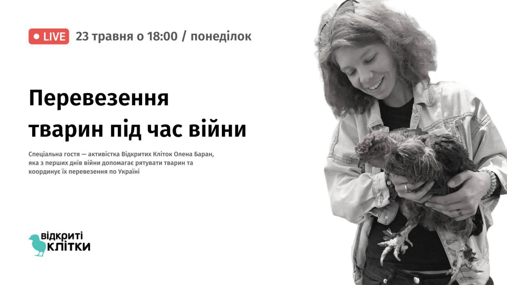Відкриті-клітки
