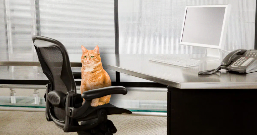 ofcat