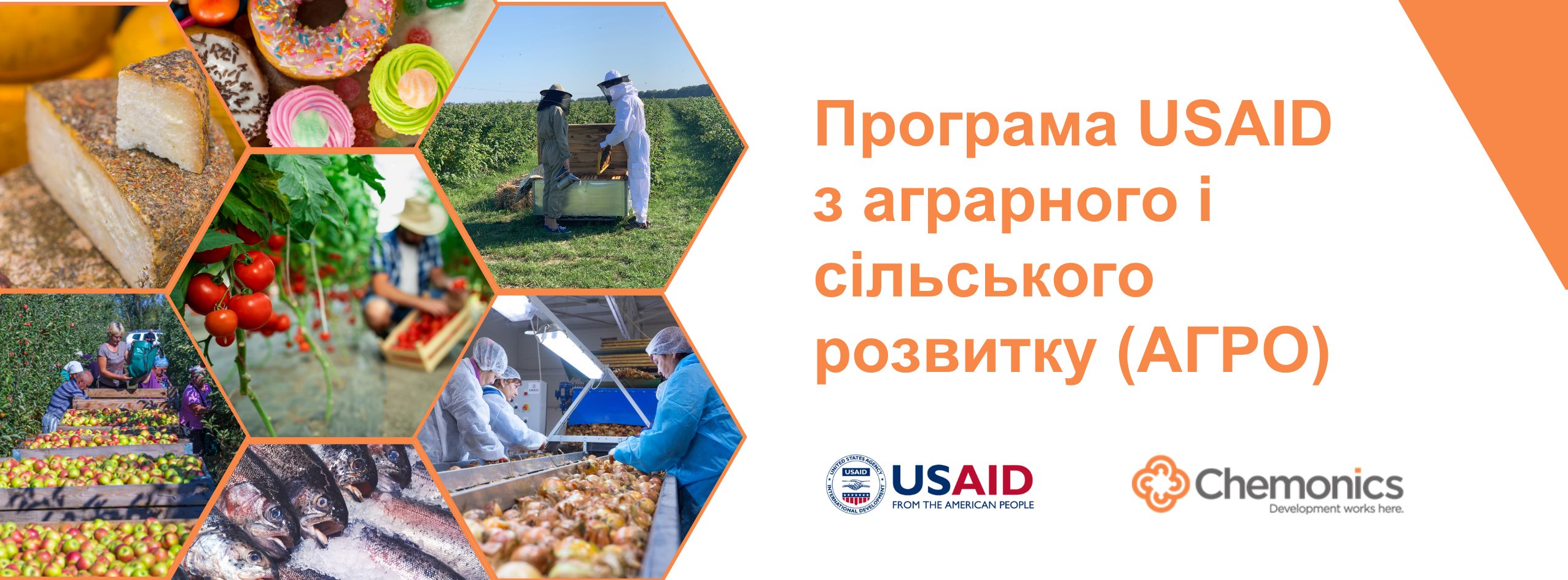 Програма USAID АГРО оголошує запит про надання цінових пропозицій на  телескопічного навантажувача для завантаження зерна для тимчасового  зберігання | Громадський Простір