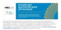 Шаблон ідеального річного звіту волонтерської організації_page-0001