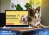 Ветеринарні консультації