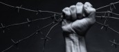 cropped-barbed-wire-in-hand-620x10001_orig