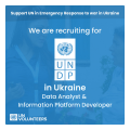 Data Analyst - Information Platform Developer