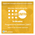 Programme Assistant (GBV)