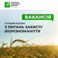 Biodiversity