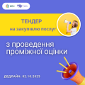 IREX VIA Mid-term Evaluation