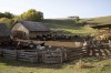 rural-life-concept-with-farm-animals (1)