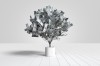 Dollar banknotes tree growing in a white pot, Money tree, Growth