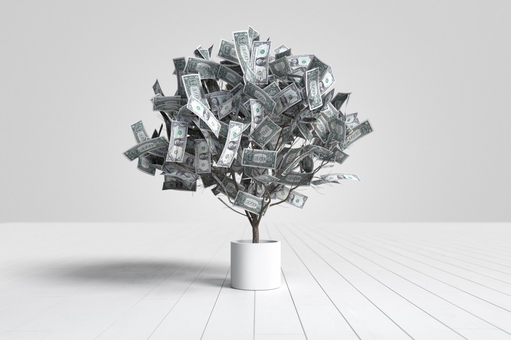 Dollar banknotes tree growing in a white pot, Money tree, Growth