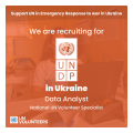 Data Analyst