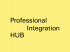 Professional_HUB