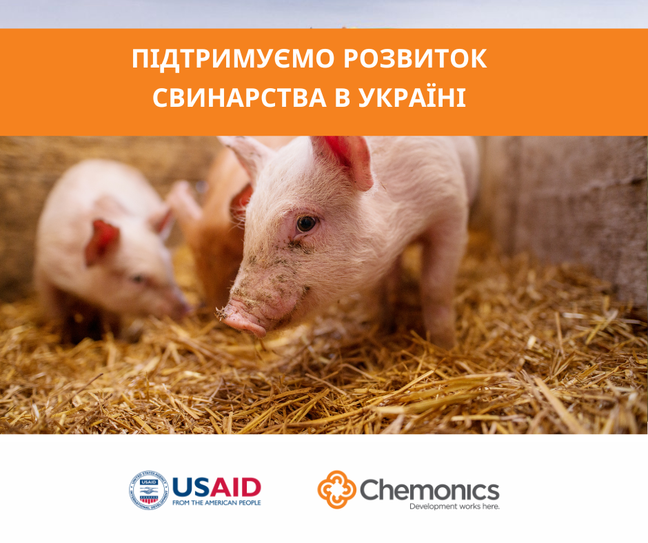 Конкурс для організацій, які планують впровадження або розвиток контрактної  та/або кооперативної моделі вирощування свиней | Громадський Простір