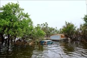 IMAGE 2024-05-28 13:53:32