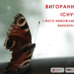 Великий розпродаж у Чорну п’ятницю (2)